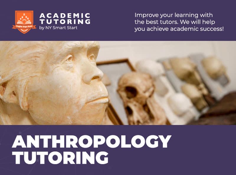 Anthropology Anthropology